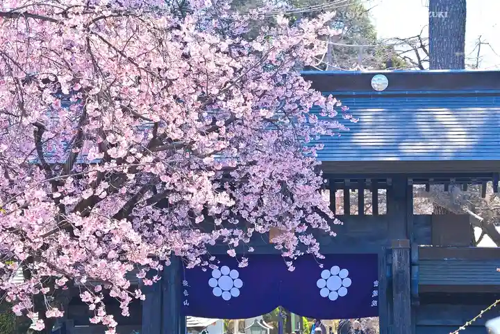 密藏院(埼玉県)