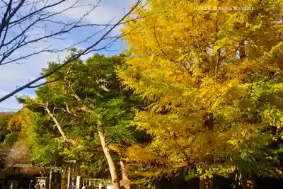 葛原岡神社(神奈川県)