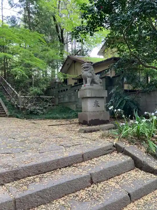 青葉神社の狛犬