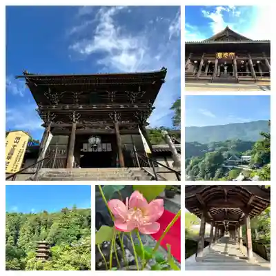 長谷寺(奈良県)