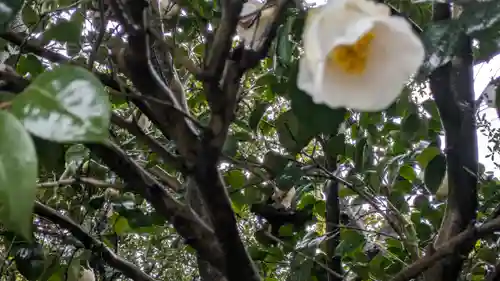 城南宮(京都府)