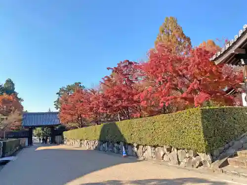 東福禅寺（東福寺）のその他建物
