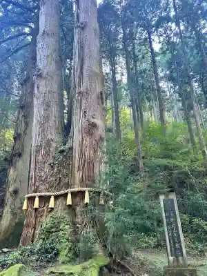 御岩神社(茨城県)
