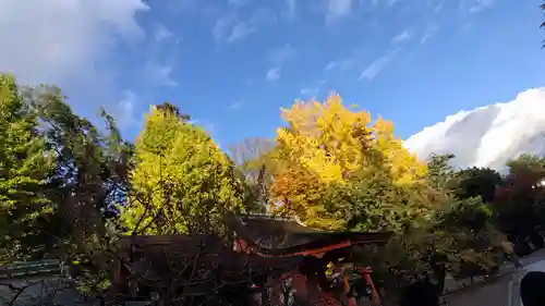 北野天満宮(京都府)