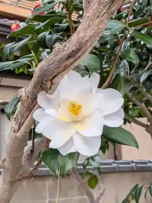 田端神社(東京都)