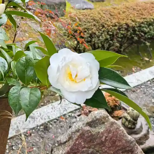 伊勢の国 四天王寺(三重県)