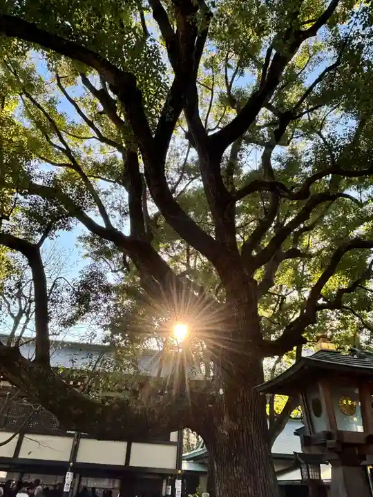 穴八幡宮の自然