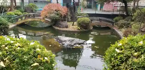 浅間神社の庭園