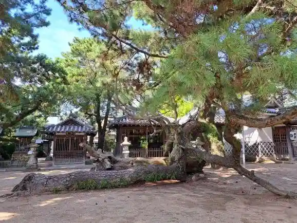 高砂神社(兵庫県)