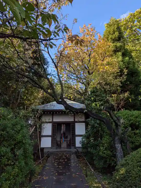 高円寺(東京都)