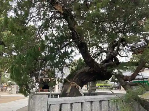 高砂神社の庭園