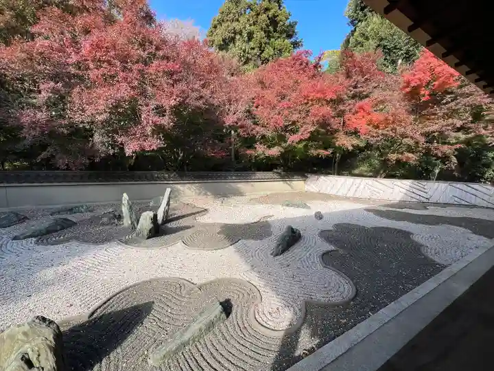 龍吟庵(竜吟庵)(京都府)