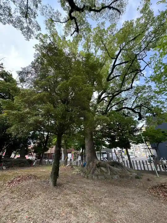 六所社(金城町)の{uncategorized: "未分類", other: "その他", undefined: "問題あり", building: "その他建物", grave: "お墓", sacred_gate: "鳥居", guardian: "狛犬", statue: "像", buddha: "仏像", history: "歴史", nature: "自然", garden: "庭園", animal: "動物", pagoda: "塔", temizu: "手水舎", mountain_gate: "山門・神門", sanctuary: "本殿・本堂", subordinate: "末社・摂社", art: "芸術", scenery: "景色", jizo: "地蔵", ema: "絵馬", goshuin: "御朱印", omikuji: "おみくじ", items: "授与品その他", amulet: "お守り", goshuincho: "御朱印帳", eats: "食事", festival: "お祭り", votive_dance: "神楽", shichigosan: "七五三参", wedding: "結婚式", experience: "体験その他", initially: "初詣", around: "周辺", anti_infection: "感染症対策"}