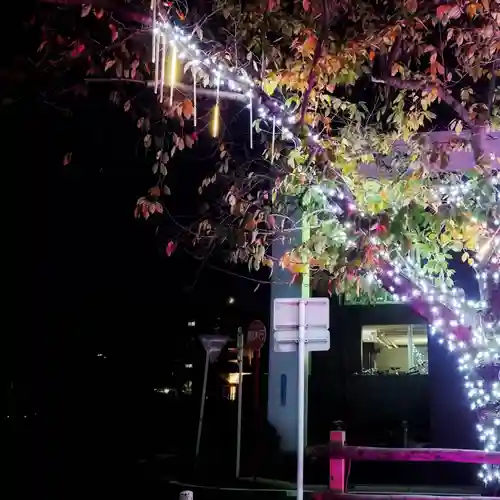 尾張大國霊神社（国府宮）の自然