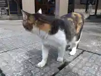 氷川神社(福井県)