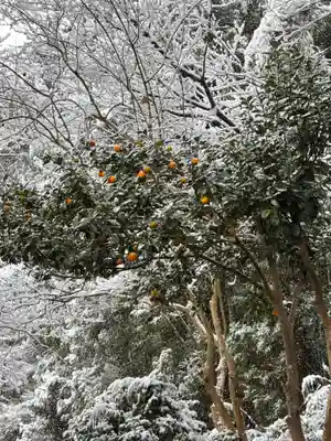 二兒神社(福岡県)