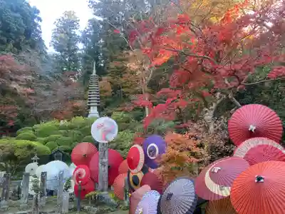 岡寺(龍蓋寺)(奈良県)