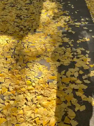 皇武神社(神奈川県)