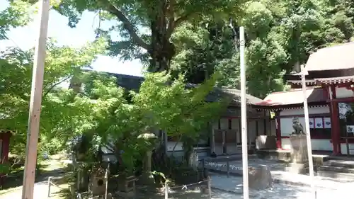 鹿児島神社(鹿児島県)