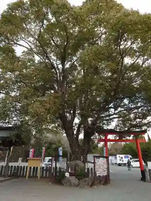 代継宮(熊本県)