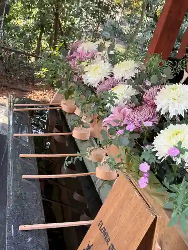 武蔵一宮氷川神社(埼玉県)