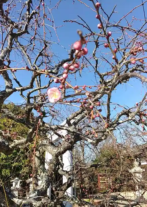 比佐豆知神社(三重県)