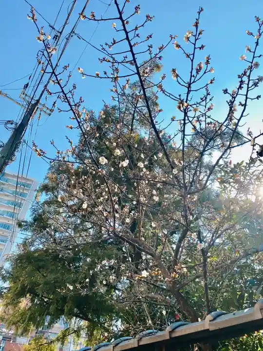 止止呂支比売命神社の自然