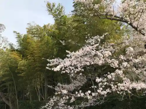 金剛宝寺（紀三井寺）の自然