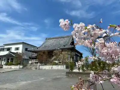 領善寺(滋賀県)