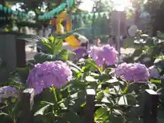 白山神社の建物その他