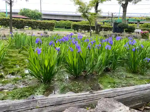 知立神社の自然