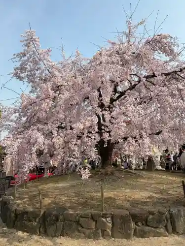 観音神社(広島県)