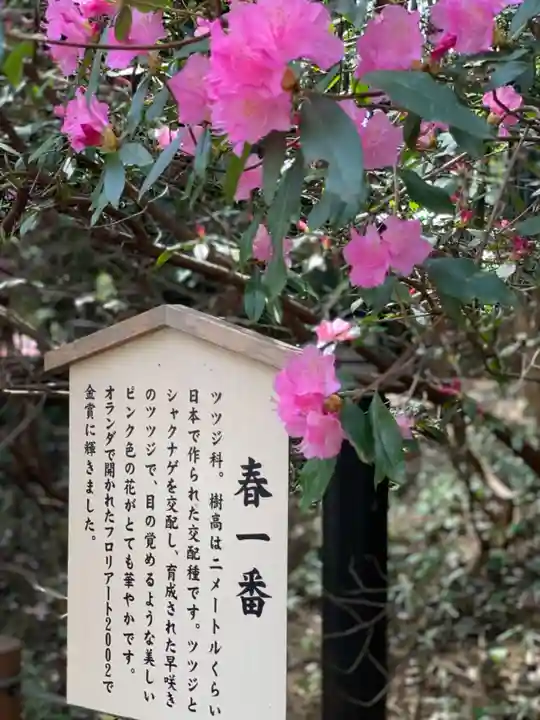 櫻木神社の歴史