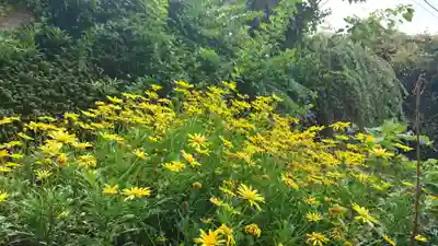 天王神社の自然