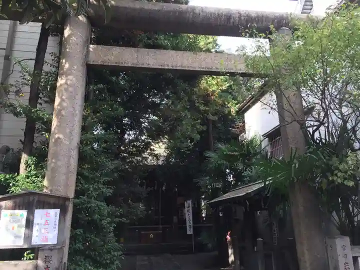 櫻木神社の鳥居