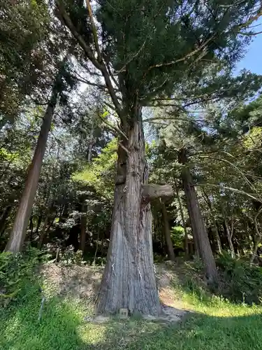 粟鹿神社(兵庫県)