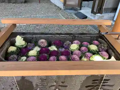 上目黒氷川神社(東京都)