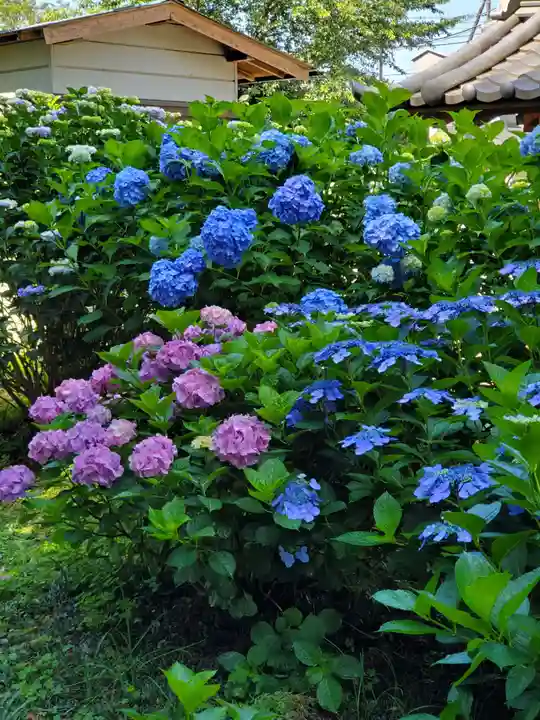 赤城神社(群馬県)