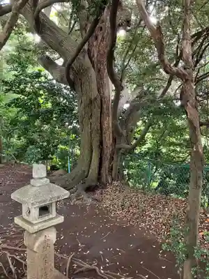山の神神社の自然