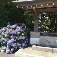 龍口明神社の手水