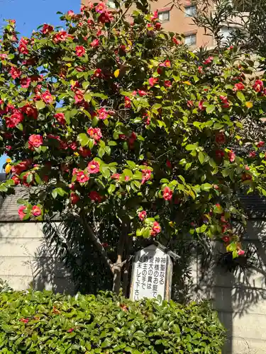 八幡社（大秋八幡社）(愛知県)