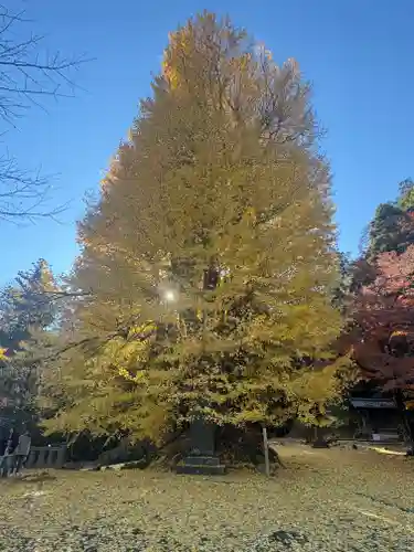 正法寺(埼玉県)
