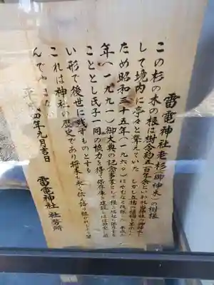 雷電神社（下渋垂町）(栃木県)