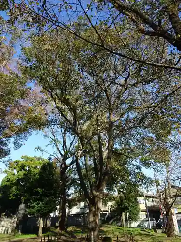 春日神社の自然