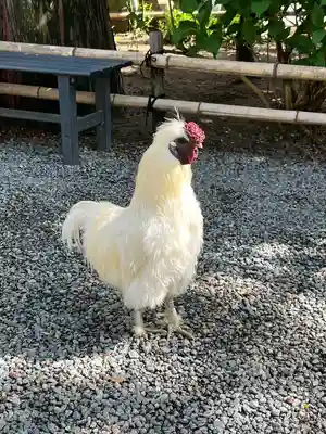 高屋敷稲荷神社(福島県)
