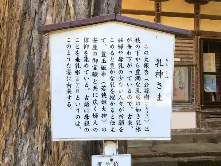 若狭姫神社(若狭彦神社下社)(福井県)