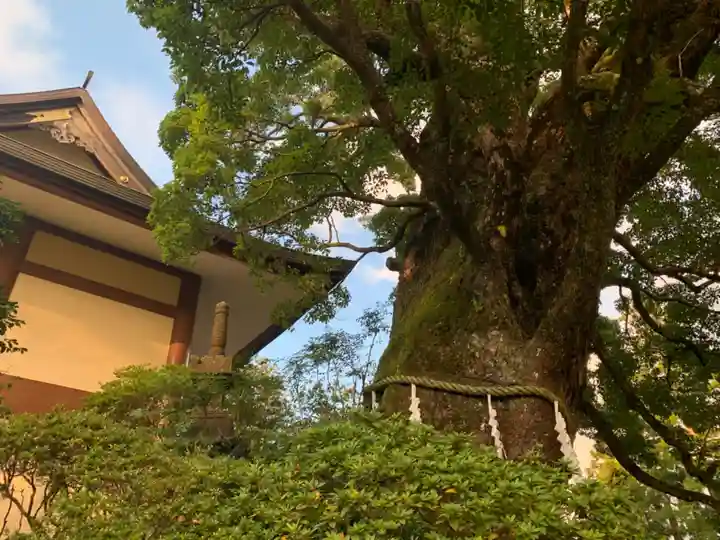 清澄寺のその他建物