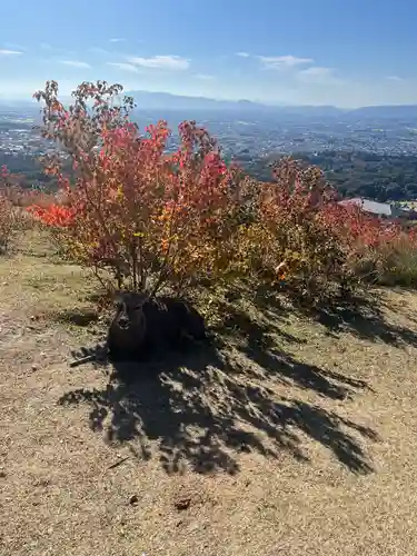 春日大社(奈良県)