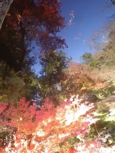 鶴岡八幡宮の自然