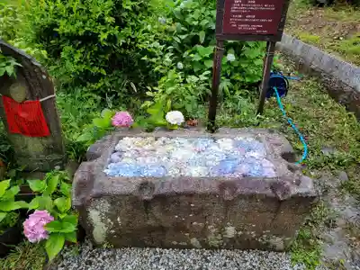 般若寺 ❁コスモス寺❁の手水舎